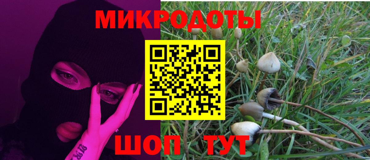 Шебекино  Псилоцибиновые грибы GOLDEN TEACHER  Псилоцибиновые грибы Psilocybine cubensis  цена   Вход с VPN 